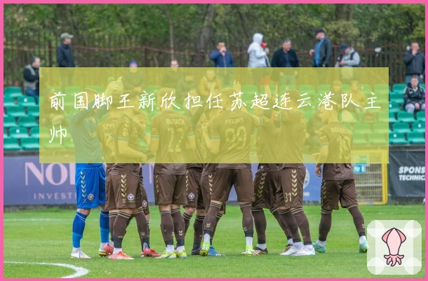 前国脚王新欣担任苏超连云港队主帅