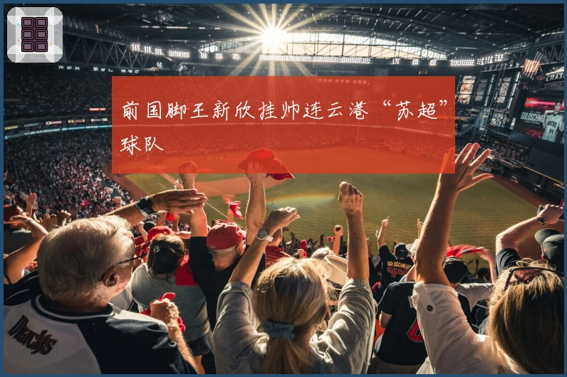 前国脚王新欣挂帅连云港“苏超”球队