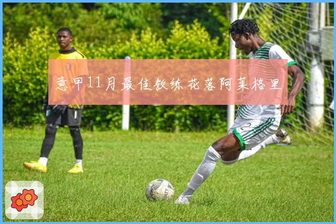 意甲11月最佳教练花落阿莱格里