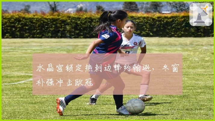 水晶宫锁定热刺边锋约翰逊，冬窗补强冲击欧冠