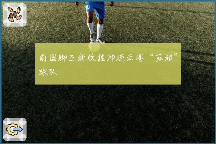 前国脚王新欣挂帅连云港“苏超”球队